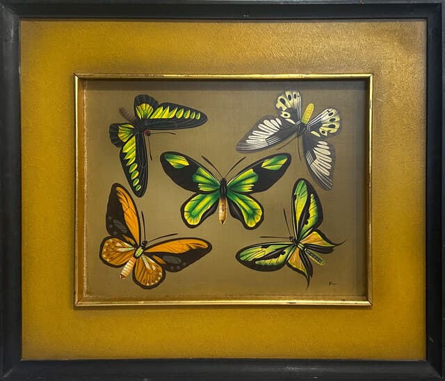 Mariposas de Alejandro Rangel Hidalgo