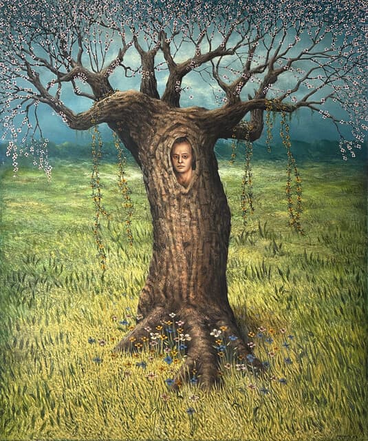 La Primavera Ilícita de Roberto Marquez