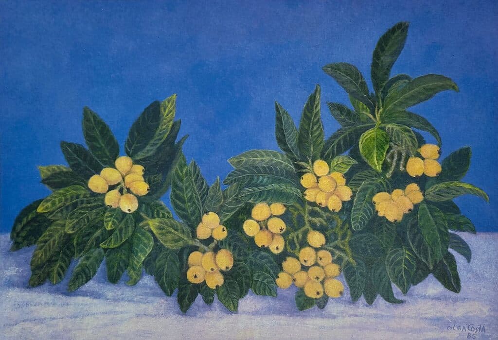 Nisperos de Olga Costa - Lithograph
